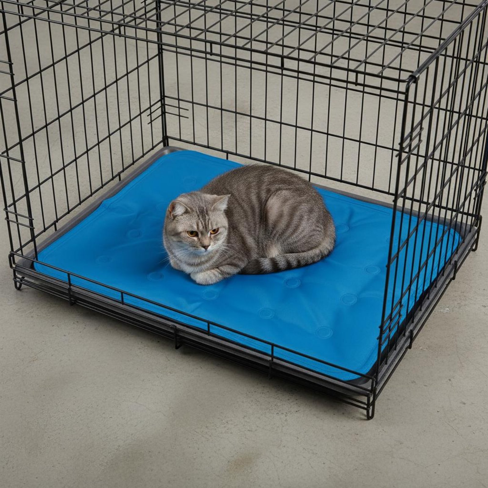 Охлаждающий коврик для животны – обзор и цена Dog Cooling Mat