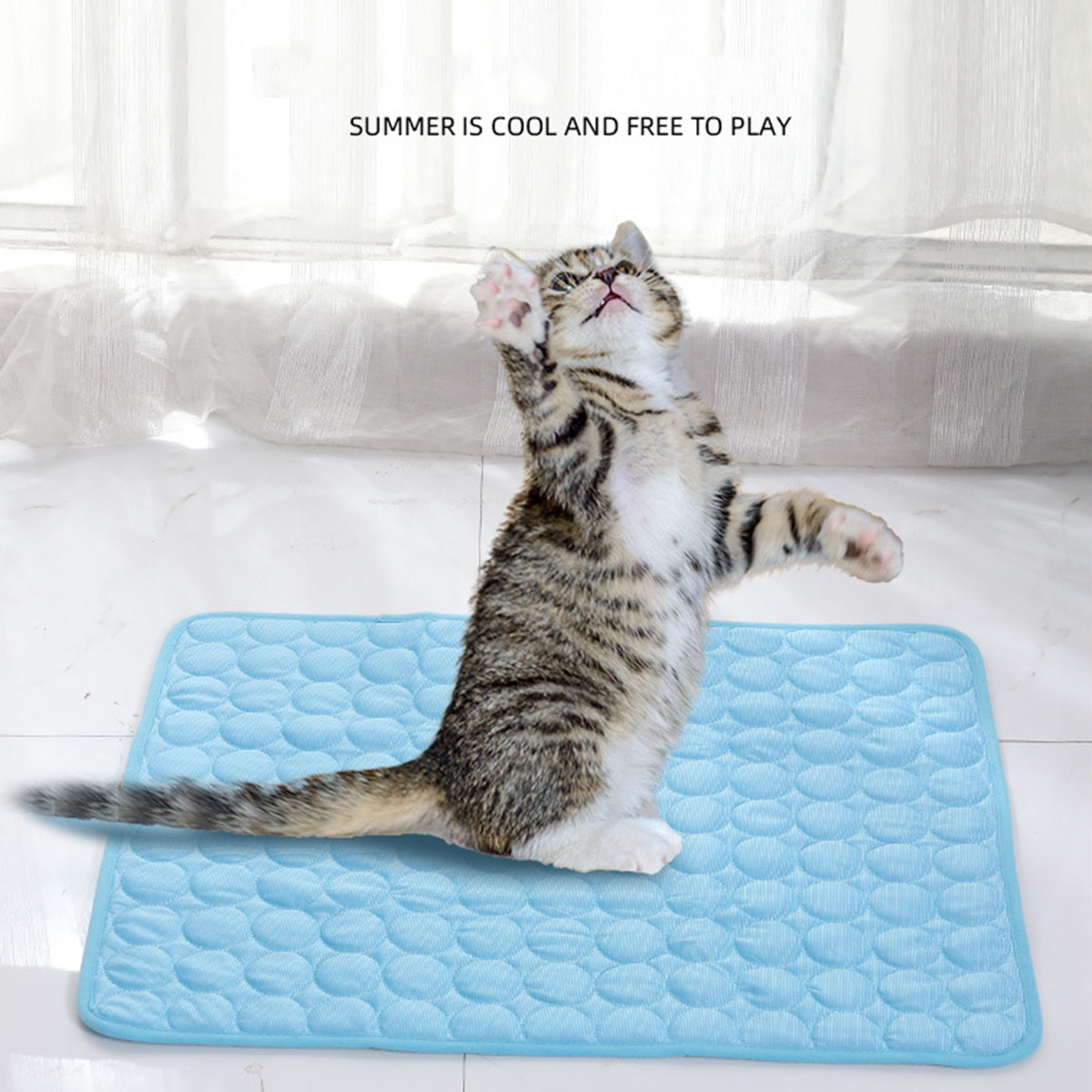 Охлаждающий коврик для домашни – обзор и цена Dog Cooling Mat