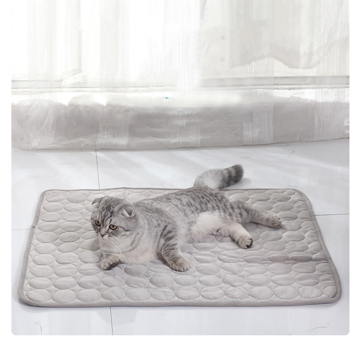 Охлаждающий коврик для домашни – обзор и цена Dog Cooling Mat