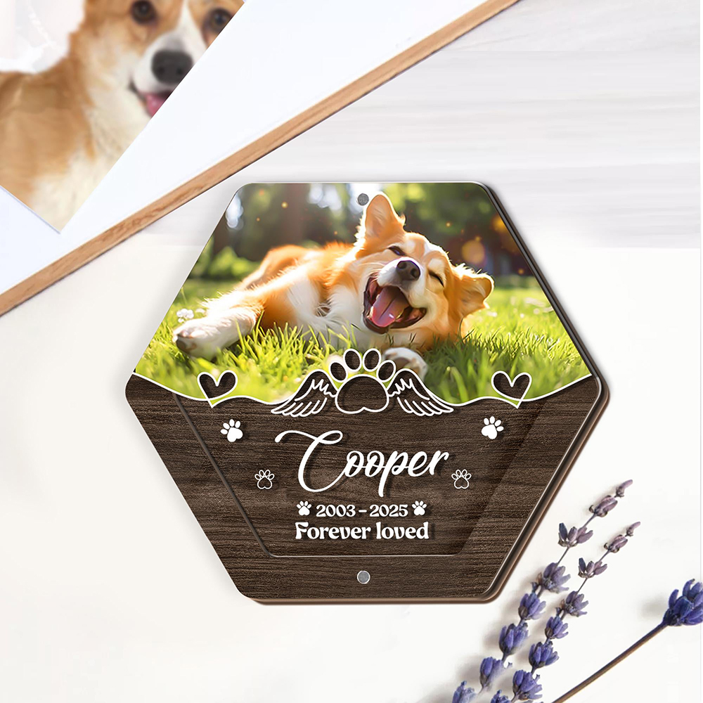 Персонализированное имя, дерев – обзор и цена Pet Supplies Warehouse
