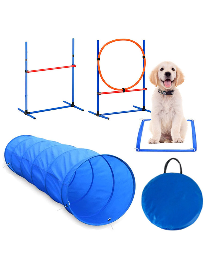 Оборудование для тренировок со – обзор и цена Pet Supplies Usa