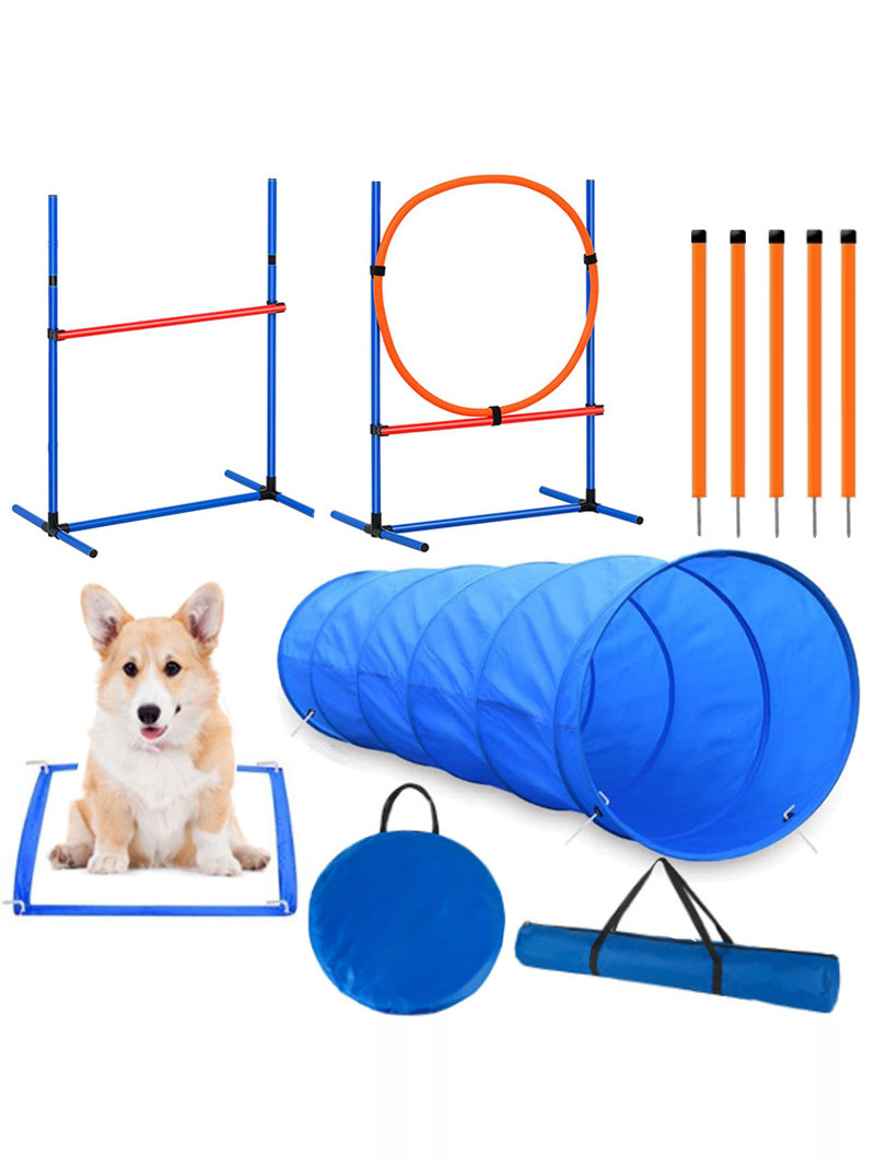 Оборудование для тренировок со – обзор и цена Pet Supplies Usa