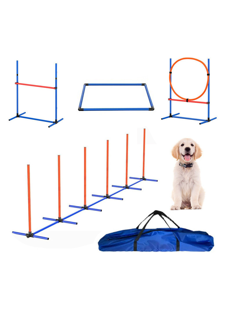 Оборудование для тренировок со – обзор и цена Pet Supplies Usa