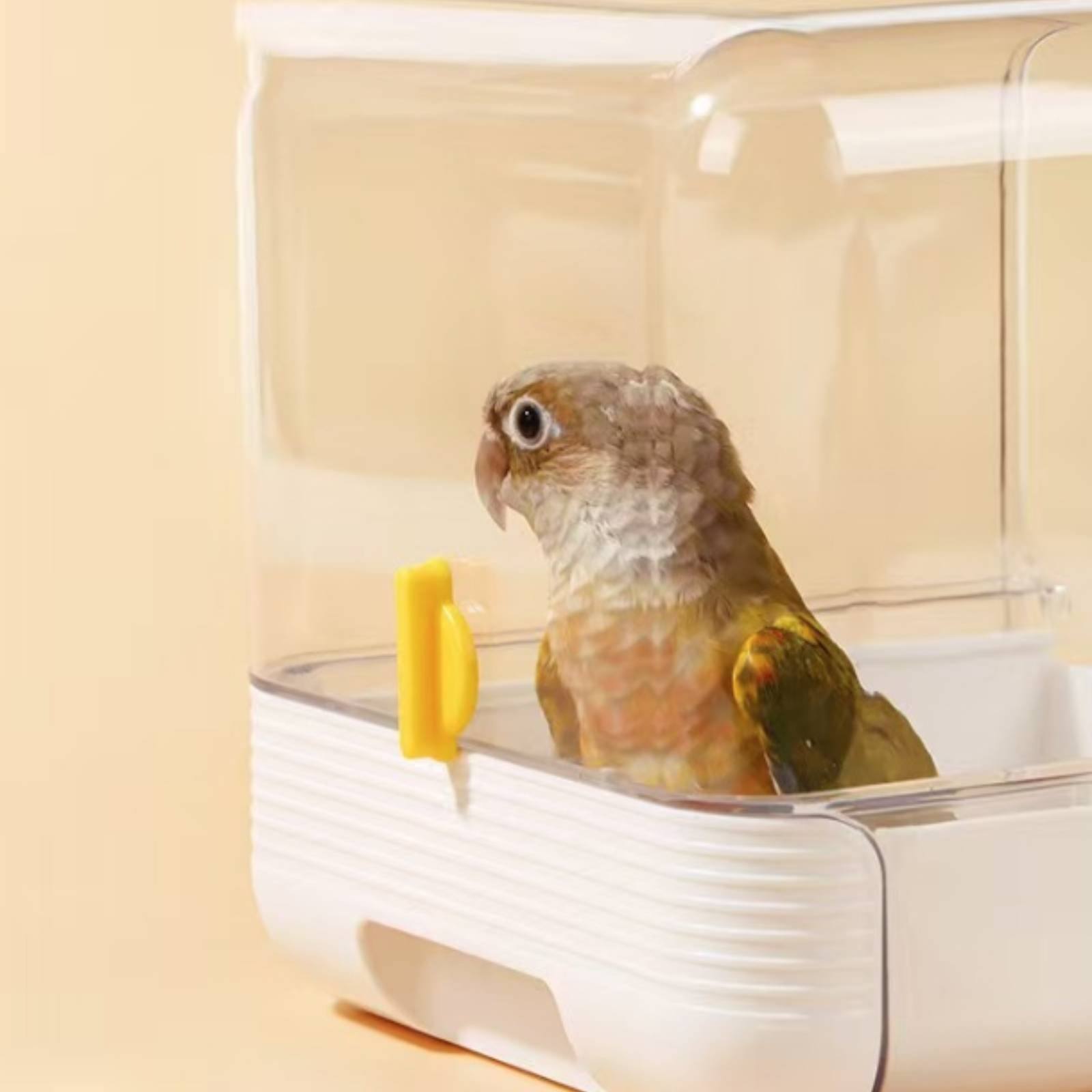 Многофункциональная ванночка д – обзор и цена Pet Supplies Usa