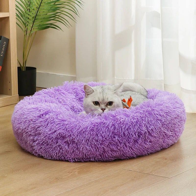 Плюшевая хлопковая лежанка для – обзор и цена Pet Supplies In Australia